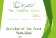 Overview Of The Yeast Free Diet