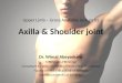axilla and shoulder joint