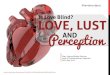 Is Love Blind? Love, Lust and Perception