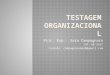 Testagem organizacional
