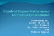 Dissolved Organic Matter versus Chlorophyll Concentration