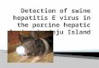 Detection of swine hepatitis e virus in the