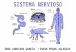 Sitema Nervios Presentacion