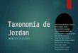Taxonomía de Jordan