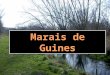 marais De Guines