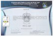 Certificado II Webcurriculo Comissao Organizadora