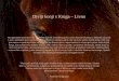 Divlji Konji S Kruga – Livno