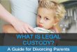 What is Legal Custody in Nevada: A Guide for Divorcing Parents