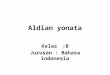 Aldian yonata