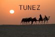 Presentaci³n tunez power