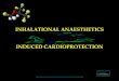 Inhalational Anaesthetics Induced Cardioprotection