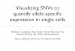 Visualizing SNVs to quantify allele-specific expression in single cells