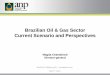 Brazilian Oil & Gas Sector Current Scenario and Perspectives