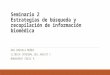 Seminario 2: Estrategia de Búsqueda y Recopilación de información Biomédica