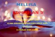 Melissa_Novel Tingkatan 4 ( Bahasa Melayu )