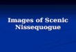 Images of Scenic Nissequogue