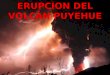 Erupcion del volcan puyehue (3)