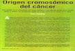 El origen cromosómico del cáncer