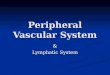 Class 6 peripheral vascular