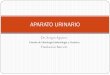 Aparato Urinario (Histología - Dr. Aguirre)