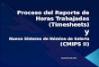 Cmips ii provider ts training power point (spanish)