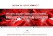 What is Cord Blood?