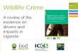Wildlife crime: a review of the evidence on drivers and impacts in Uganda