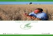 Crop Nutrients Council _ Working Together