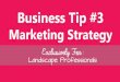 Tip #3  Marketing Strategy from Strategic Landscaper