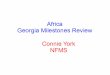 Africa georgia milestones review