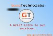 Web Development Services at Guru Technolabs