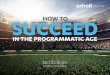 How to Succeed in the Programmatic Age