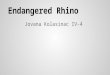 Endangered rhino by Jovana
