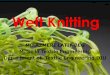 Weft Knitting