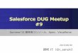 Salesforce DUG meetup09 summer15