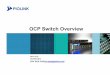 OCP Switch Overview