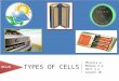 Phyics M4 Types of cells