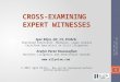 Cross-Examinagin Expert Witnesses in Business Litigation