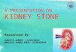 Presentation kidney-stone final