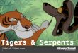 Steppes Travel | India: Tigers & Snakes
