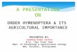 Order Hymenoptera of Agricultural Importance