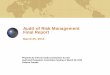 Audit of Risk Management Final Report