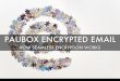 Paubox encrypted email