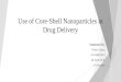 Use of nanoparticles in drug delivery