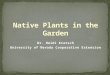 Native Plants in the Garden