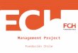 FCh Management Consulting Project