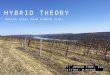 Hybrid Theory: Modern Wines from Hybrid Vines