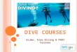 Scuba, free diving & padi courses in Australia