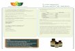 Lemongrass MSDS Safety Data Sheet