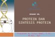 Protein dan Sintesis Protein